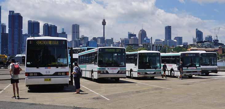 Forest at Busfest 25